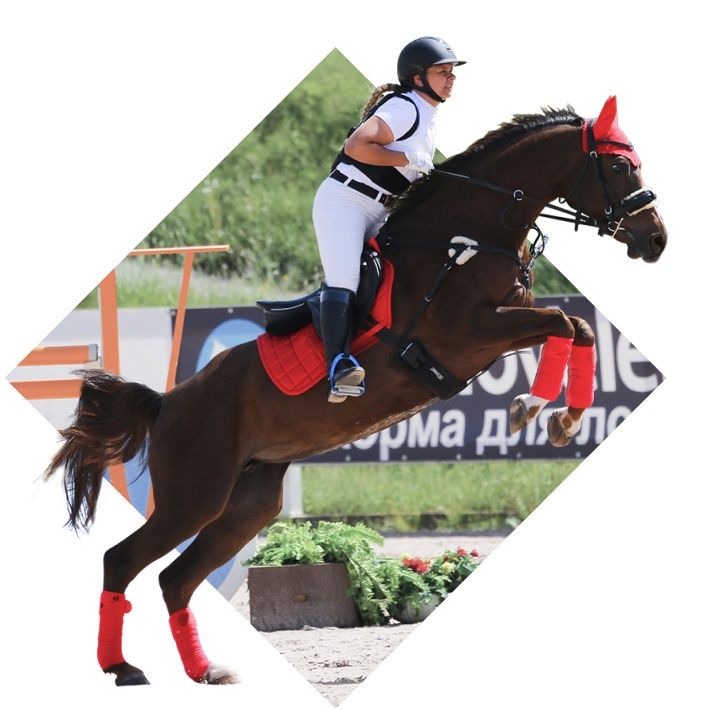 Конно-спортивный клуб 