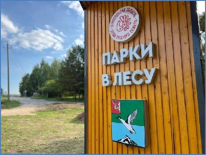 Парки в лесу: 