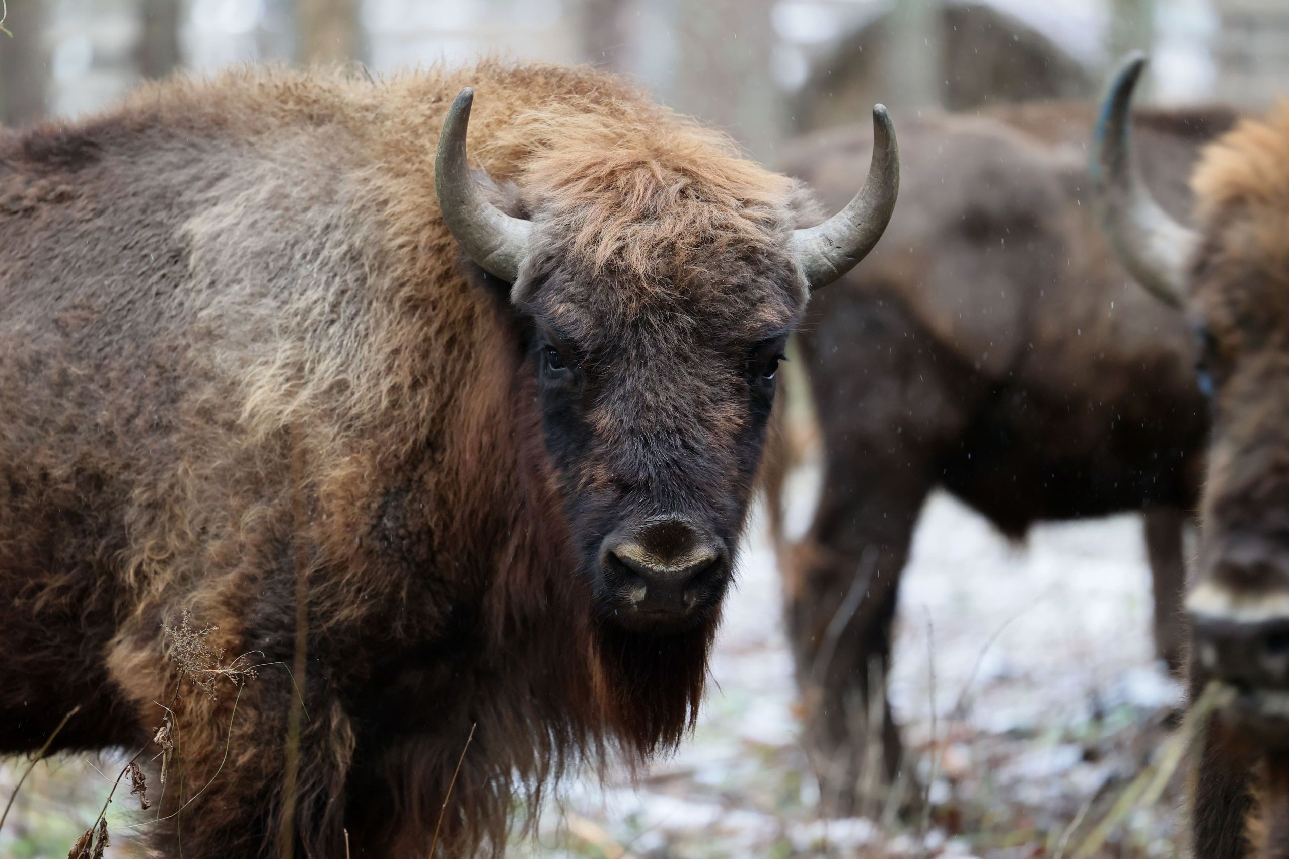 Агротуризм